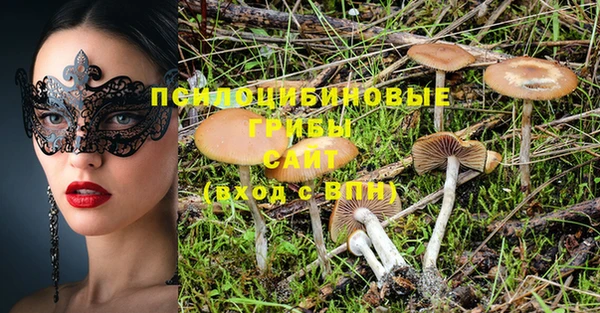 синтетический гашиш Краснослободск