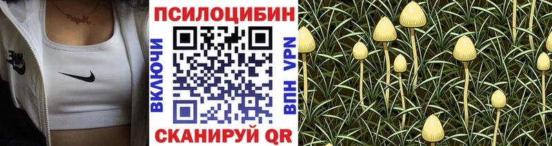 Псилоцибиновые грибы GOLDEN TEACHER  Купить где  Кондопога 