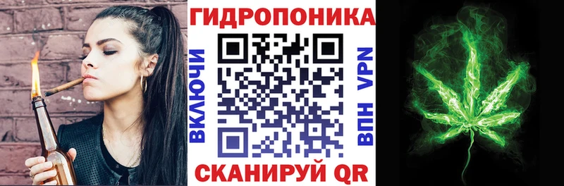 Купить закладки  Кондопога  Шишки марихуана план 